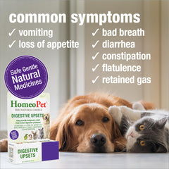 HomeoPet Digestive Upsets – dose directe dans la bouche pour chiens et chats.