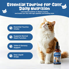 Homibabis Taurine pour chats, doseur précis pour mesurage fiable.