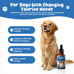 Homibabis Taurine Liquide: pipette doseuse pour administration facile au chien.