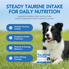 Homibabis Taurine Poudre Chien – dose quotidienne parfaitement mesurée.