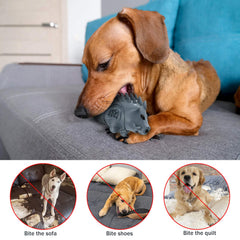 Homipooty, jouet caoutchouc naturel avec arôme lait pour chien