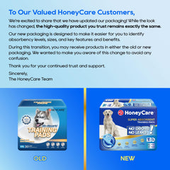 Honey Care All-Absorb XXL pad en usage, idéal pour l’entraînement canin.