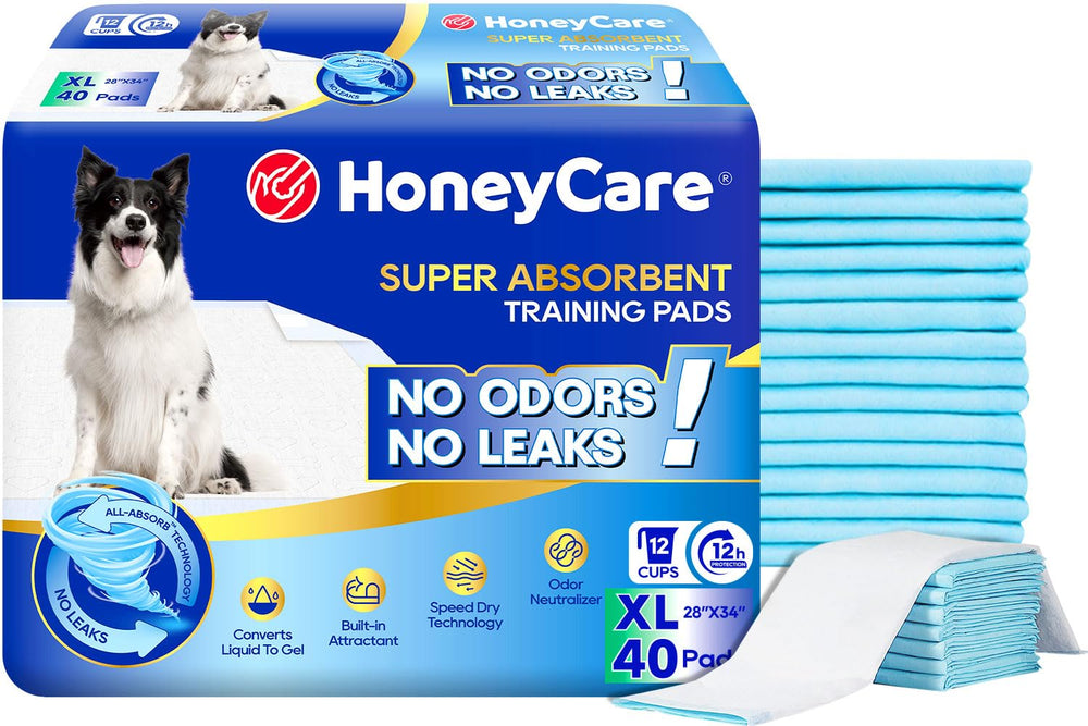 Honey Care tapis entrainement chien bleu avec absorption rapide et protection du sol.