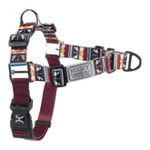 Hooey Nomad harnais sans tir pour chien, contrôle renforcé lors des promenades.
