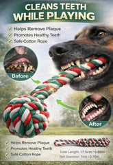 Jouet Hopet corde robuste pour chiens moyens à grands sessions intenses
