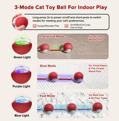 Hopezone balle interactive à 3 vitesses, s'adapte à l'énergie du chat.