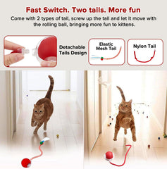 Hopezone queue nylon remplaçable, durable pour chiens actifs et jeux dynamiques.