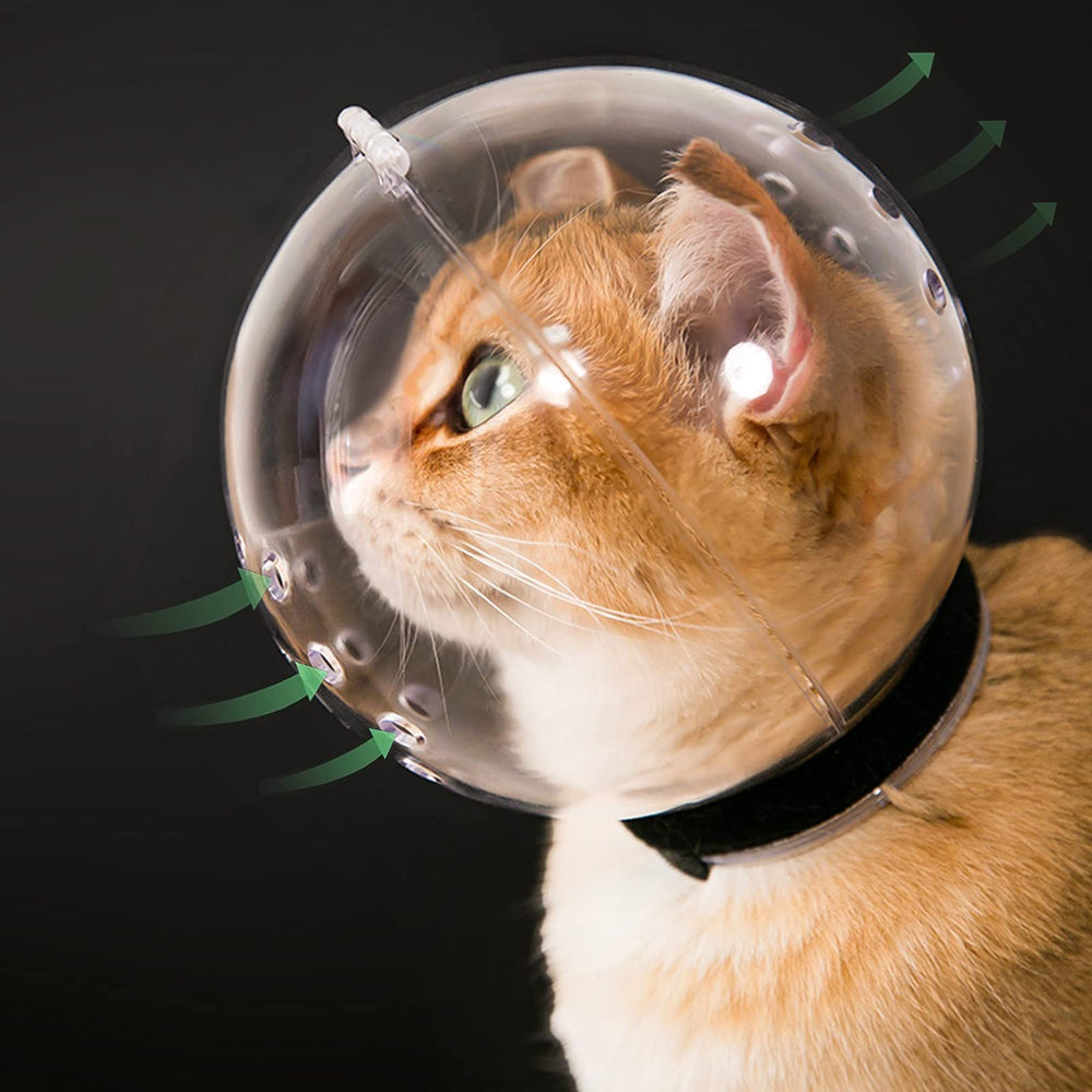 Hoqqf chat, masque transparent astronaute, pour toilettage avec vision claire