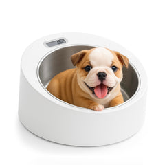 Balance Horizon Animal Care avec bol inox amovible pour chiots et chatons.