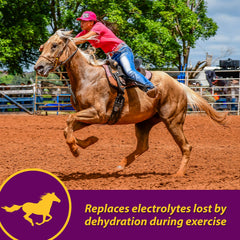 Apple-Dex Horse Health avec doseur pour mesurer la portion quotidienne d’électrolytes.