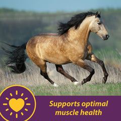 Horse Health Vitamine E et Sélénium - granulés en boîte, usage quotidien.
