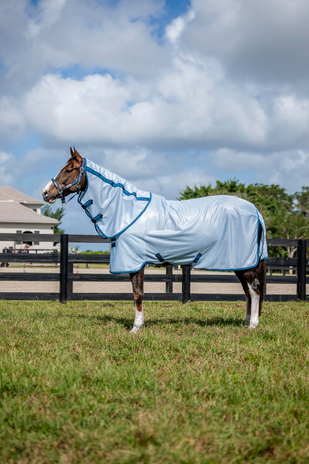 Horseware Amigo Bug Rug Plus couleur bleu azur et bleu marine, protection anti-mouches.
