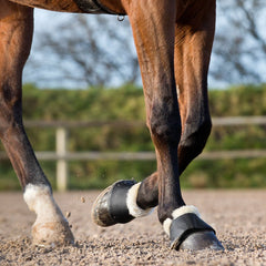 Horze Signature Bottes Cloche noir XXL protection paturon et talons pendant le saut.
