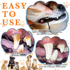 Ensemble outils detartrage dentaire Hotop 3 pièces pour chiens et chats