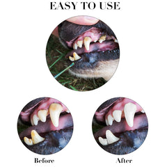 Hotop kit-dentaire-animal-double-tete, ensemble pratique pour l'hygiène buccale.