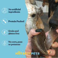 Hotspot Pets sabots de vache nourris à l herbe, goût authentique et durable.