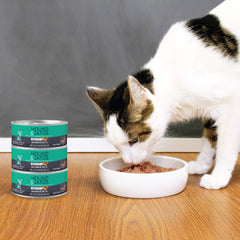 Ingrédients naturels HOUND & GATOS, chat digestion plus douce et ingrédients simples.