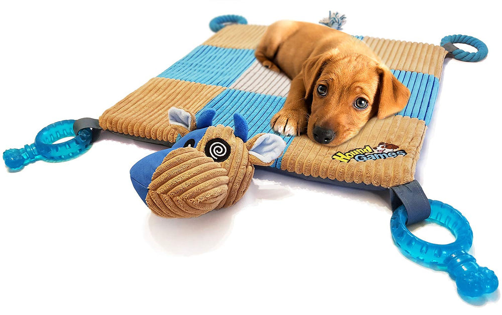 HOUNDGAMES Tapis dentition chiots – ensemble interactif pour jeux et dents
