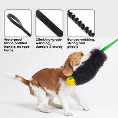 Jouet HOWGO stimule énergie et activité physique chez les chiens actifs.