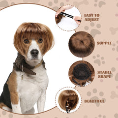 HOWWFALY coiffure animale – tête bouclée idéale pour cosplays et photos
