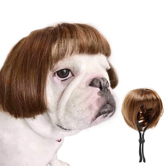 HOWWFALY déguisement chien – perruque bouclée légère pour fête