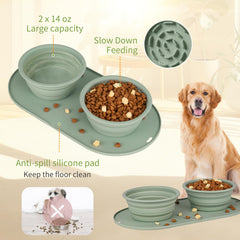 HOYEHOLA bol design couleur macaron attirant pour chien