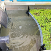HOZOE Barrière flottante pour plantes – protège la surface et organise les plantes flottantes.