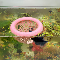 Hozoe cache flottante Betta rose, abri sûr pour petits poissons.