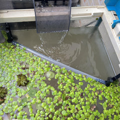HOZOE Réglage automatique de la hauteur – s’ajuste au niveau d’eau pour un bac stable.