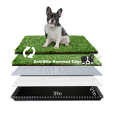 HQ4US 4LEGS Tapis herbe artificielle ensemble 31x21, pratique pour litière.