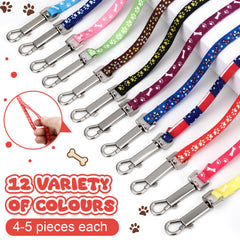 Couleurs vibrantes Hsei facilitant l’identification des chiots pendant les sorties.