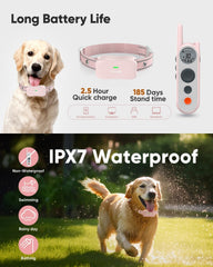 Htcuto collier d'entraînement étanche IPX7 pour extérieur.