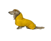 Hudson Hound imperméable pour teckel jaune XS — protection du visage par temps de pluie.