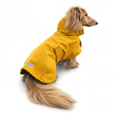 Hudson Hound imperméable Teckel long manteau pluie protégeant des intempéries.
