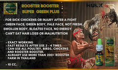 Gouttes HULX Super Green – dosage facile pour coq et récupération.