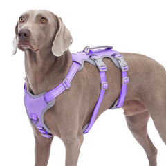 Huntboo harnais anti evasion avec poignee de levage, ideal pour franchir obstacles lors des sorties.
