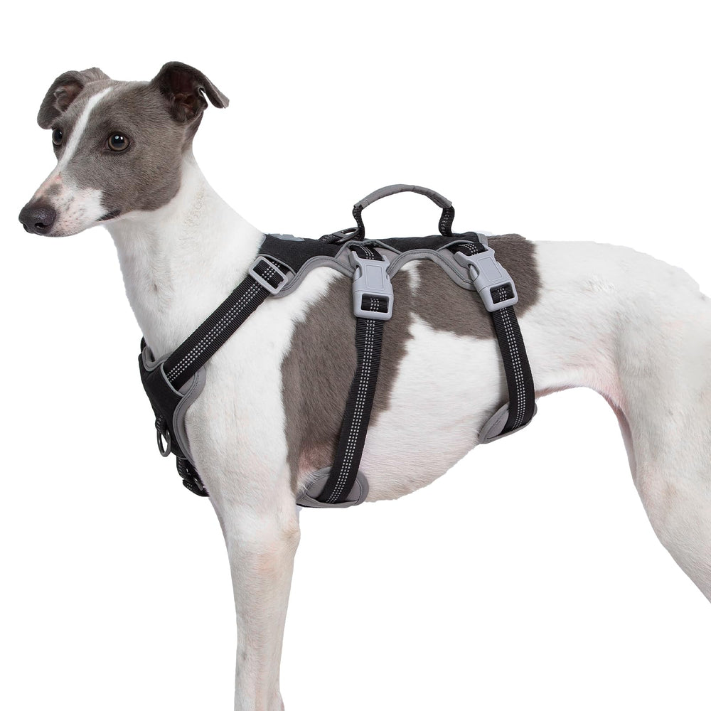Harnais Huntboo anti-évasion avec poignée rembourrée, hautement sûr pour les promenades nocturnes.