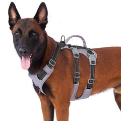 Huntboo harnais réfléchissant pour chien avec poignée, contrôle facile lors des sorties.