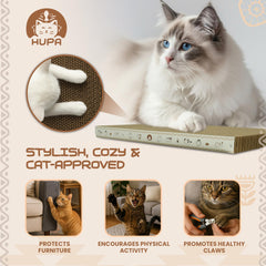 HUPA grattoir chat dimensions généreuses adaptées aux petits et moyens chats.