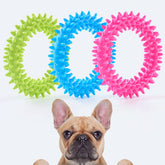 Jouet dentaire Hurray, anneau pour chiots, aide à nettoyer les dents pendant le jeu.
