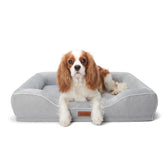 Hush Bone lit orthopédique pour petit chien offrant soutien et confort nocturne.