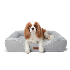 Hush Bone lit orthopédique pour petit chien offrant soutien et confort nocturne.