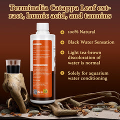 Hygger Blackwater – teinte eau noire, ambiance forêt tropicale.