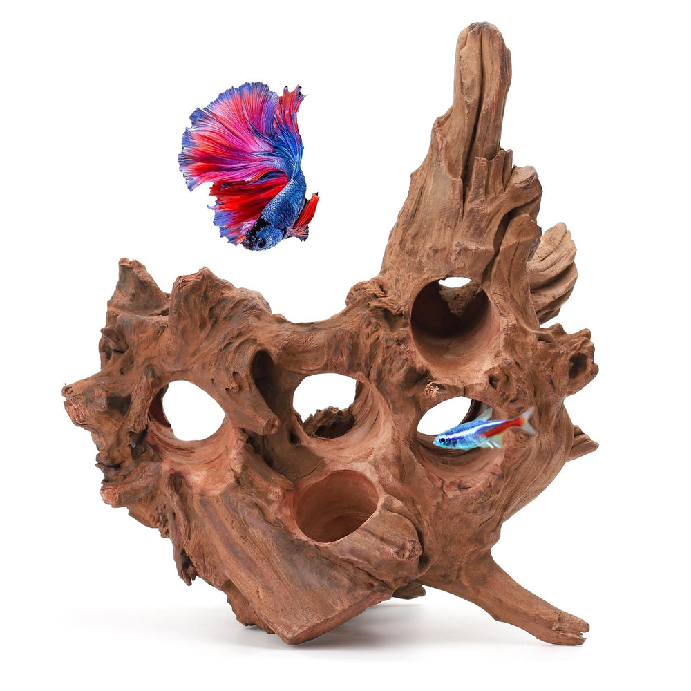 Hygger CO2 Driftwood poreux avec trous, offre un habitat stimulant pour vos poissons.