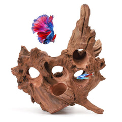 Hygger CO2 Driftwood poreux avec trous, offre un habitat stimulant pour vos poissons.