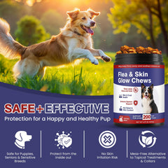 Hyjykd chien mordillant friandise poulet, pelage sain et hydratation des poils.