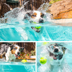 Hyper Pet balles-tennis vertes flottant sur l'eau pour le jeu.