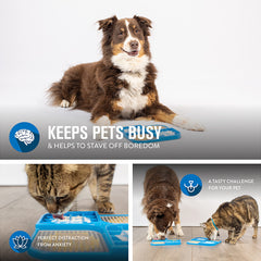 Hyper Pet IQ Treat Lick Mat chien en utilisation, ralentit l'alimentation et entretient l'activité.