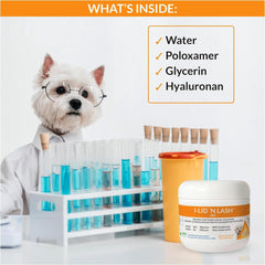 I-LID N LASH Vet lingettes yeux chien, prévention des taches et larmes
