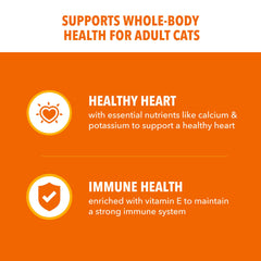 IAMS Proactive Health chat adulte protéine poulet, croquettes de haute qualité.